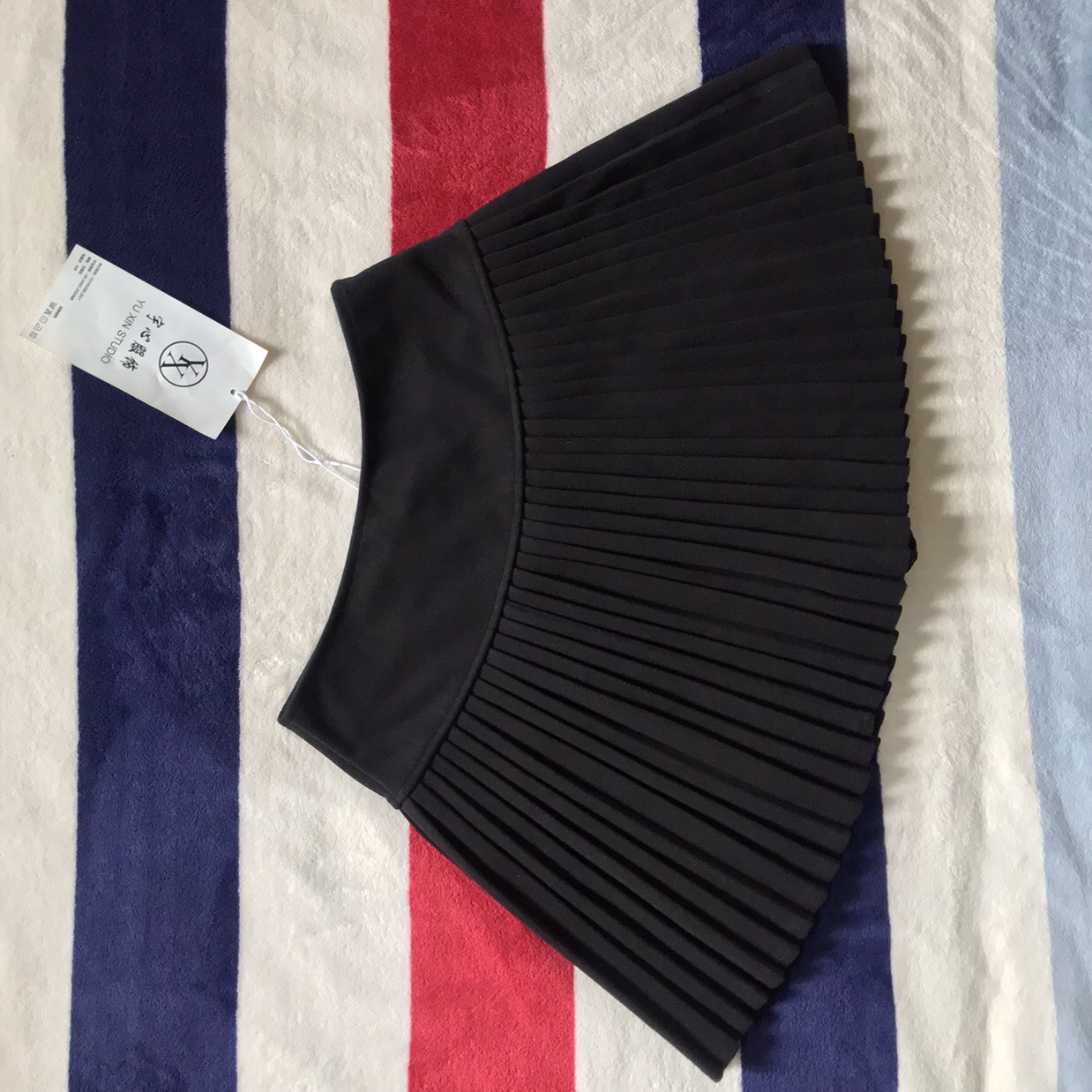 Pleated Skirt