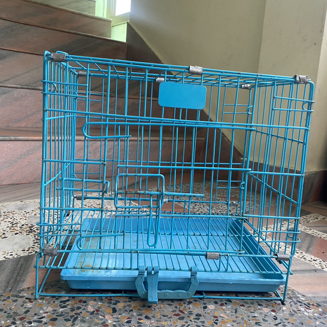Cage Of Dog