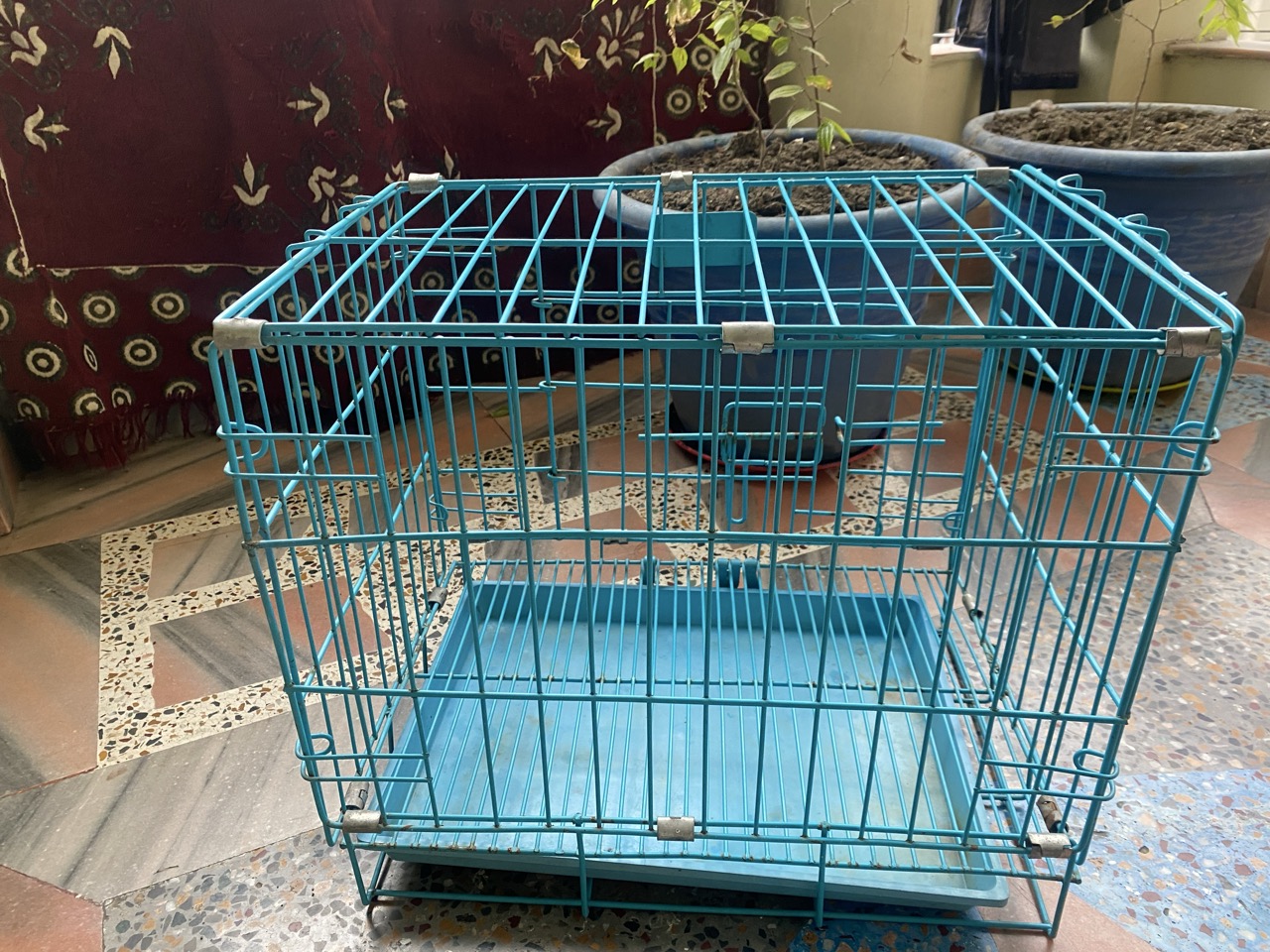 Cage Of Dog - Thumbnail 4