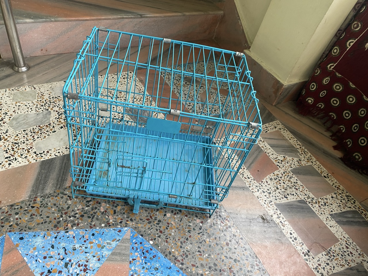 Cage Of Dog - Thumbnail 3