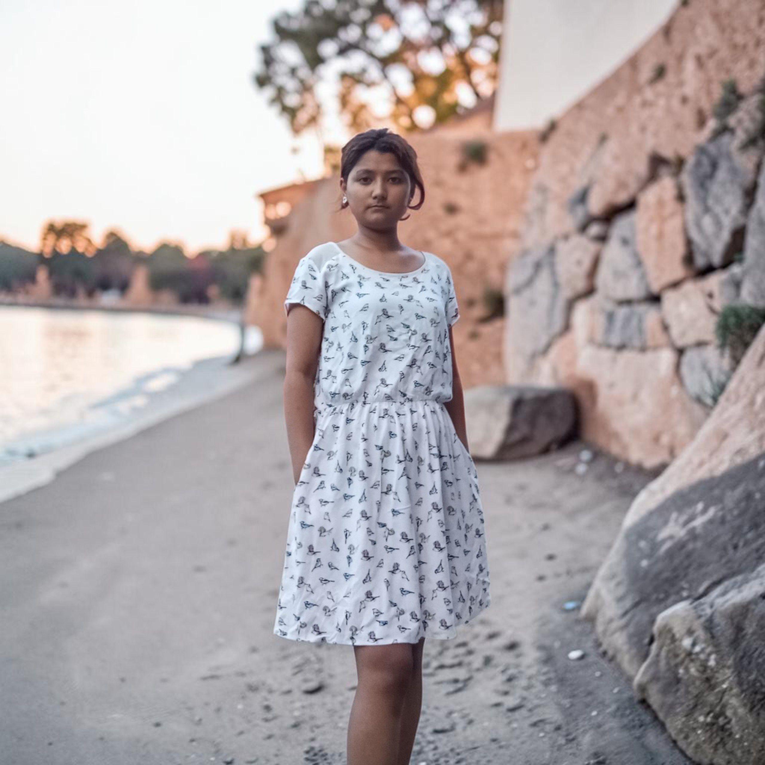 H&M Bird Print Dress